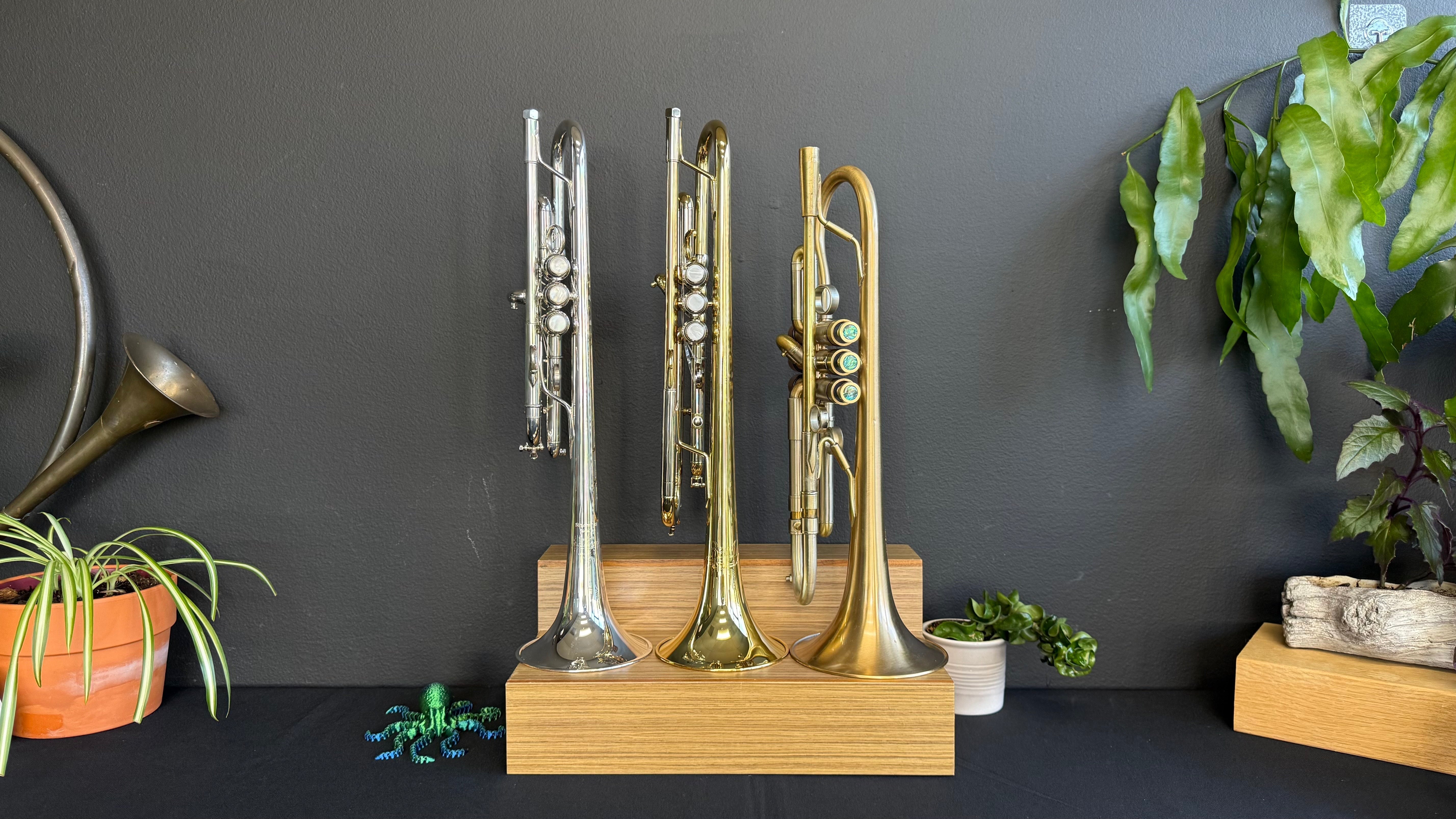 Choosing Your Instrument: Student, Step-Up, and Professional Tiers