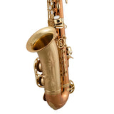 Selmer Model SAS511C Intermediate Alto Saxophone BRAND NEW