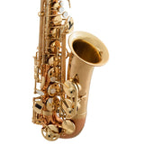 Selmer Model SAS511C Intermediate Alto Saxophone BRAND NEW