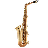 Selmer Model SAS511C Intermediate Alto Saxophone BRAND NEW