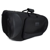 S.E. Shires Model Q40TS Q-Series Compensating Euphonium SN 9305 OPEN BOX