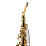 Yanagisawa Model AWO2 Bronze Professional Alto Saxophone SN 343678 SUPERB