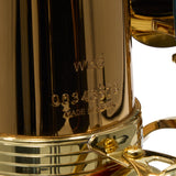 Yanagisawa Model AWO2 Bronze Professional Alto Saxophone SN 343678 SUPERB