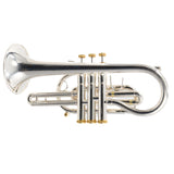 Stomvi Forte Professional Cornet SN 0013682 EXCELLENT