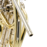 C.G. Conn Model 11DN Professional Geyer Wrap French Horn SN 657592 SUPERB