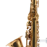 Eastman Model EAS850 'Rue Saint-Georges' Alto Saxophone SN A2440430 EXCELLENT