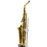 Eastman Model EAS650 'Rue Saint-Georges' Alto Saxophone SN A2440458 RENEWED
