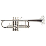 Bach Model C180SL229W30 Stradivarius Professional C Trumpet NEVER OWNED
