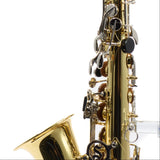Selmer Model SAS202 Student Alto Saxophone in Lacquer SN AJ12625320 EXCELLENT