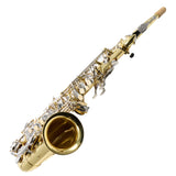 Selmer Model SAS202 Student Alto Saxophone in Lacquer SN AJ12625320 EXCELLENT