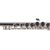 Armstrong Model FL650E Student Concert Flute SN AS19918011 EXCELLENT