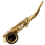 The Martin 'Committee' Alto Saxophone SN 202620 FRESH OVERHAUL