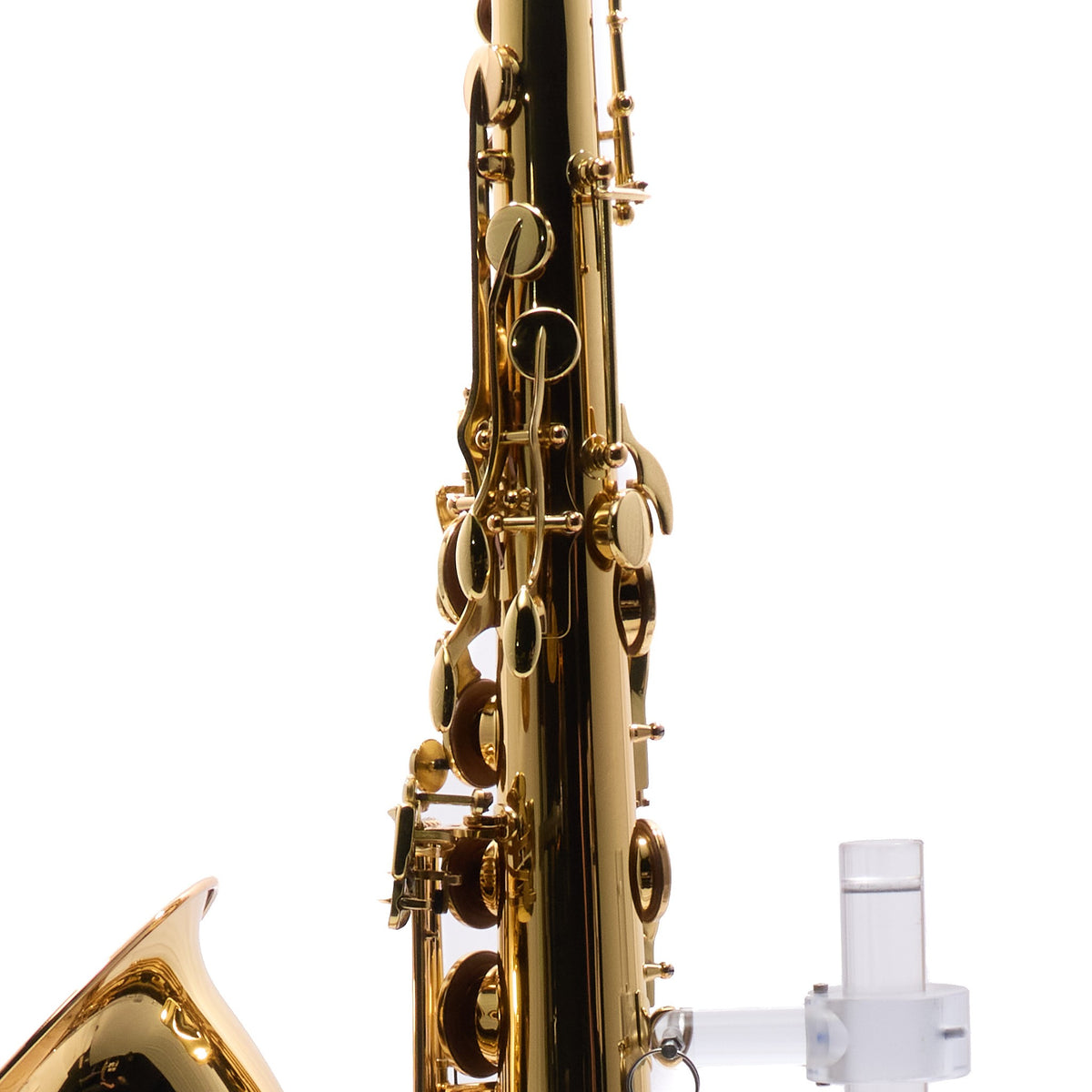 Selmer STS511 Intermediate Bb Tenor Saxophone in Gold Lacquer