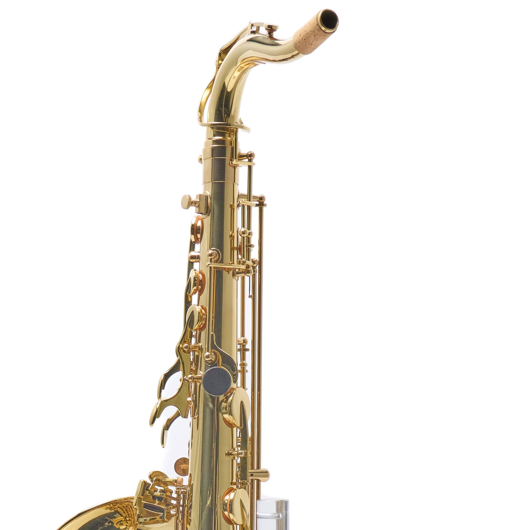 Antigua Winds TS3108LQ Intermediate Tenor Saxophone in Lacquer