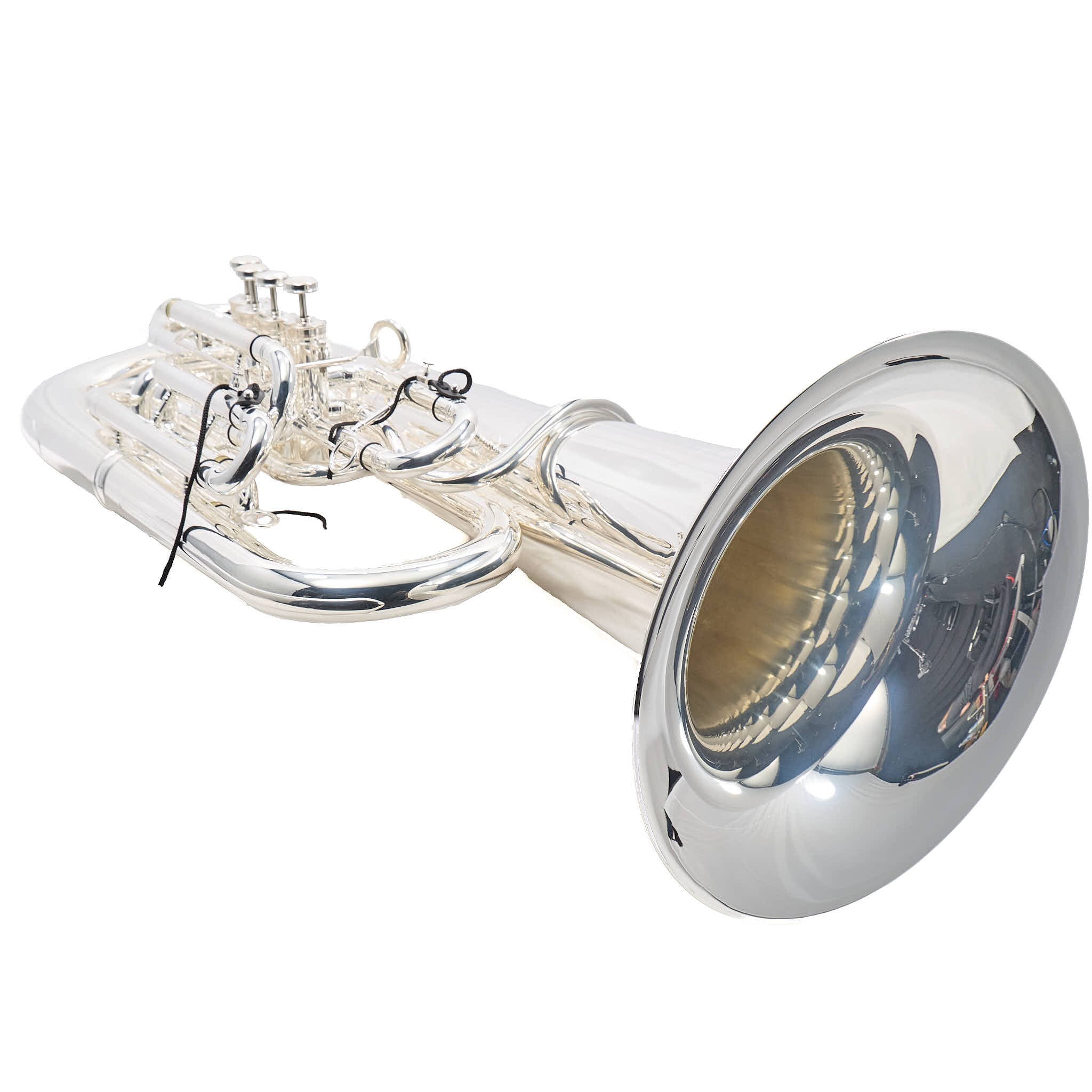 Eastman EBF863S Professional 4-Piston 4/4 F Tuba in Silver Plate