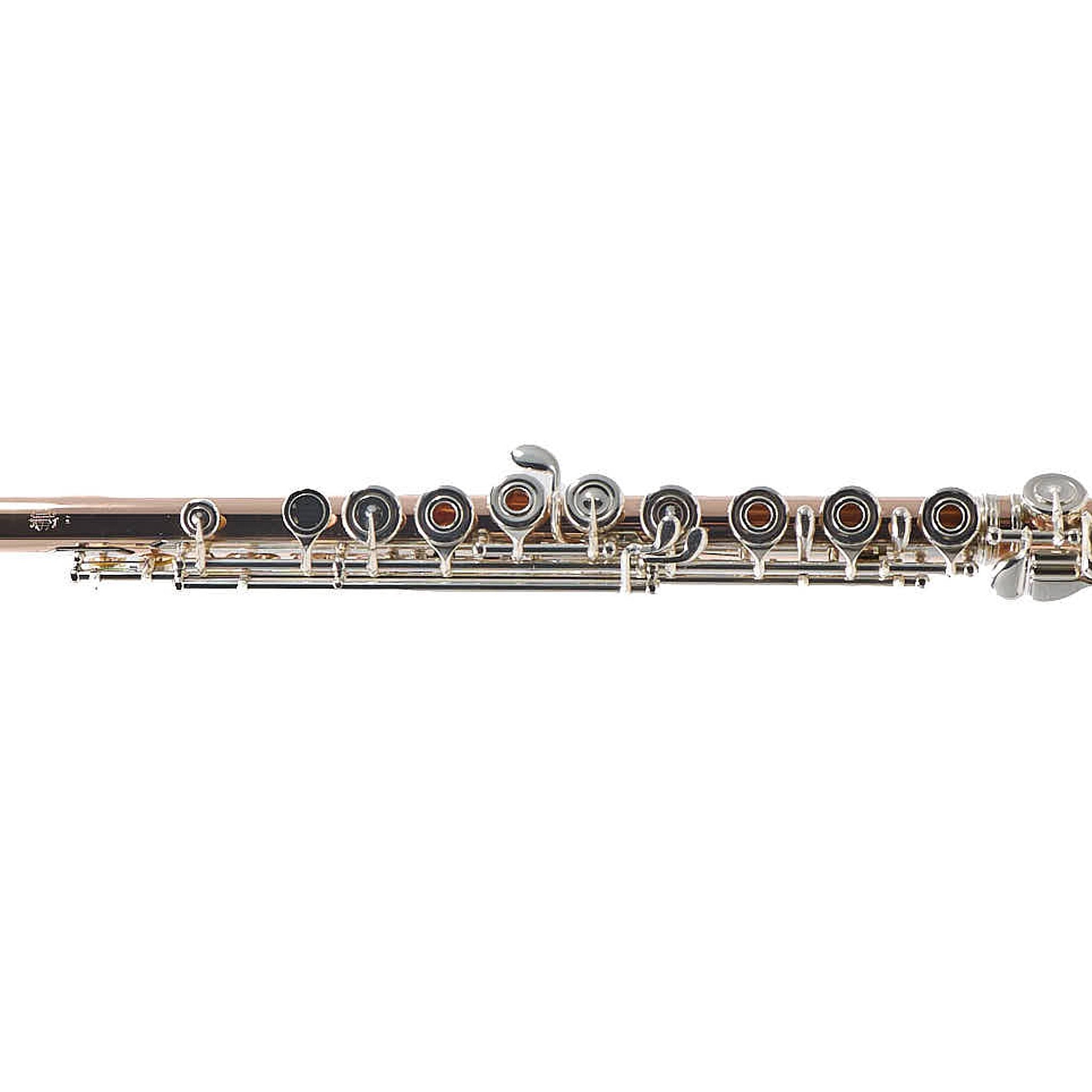 William S. Haynes Custom 14K Gold Flute with Gold Toneholes, Offset G, C# Trill