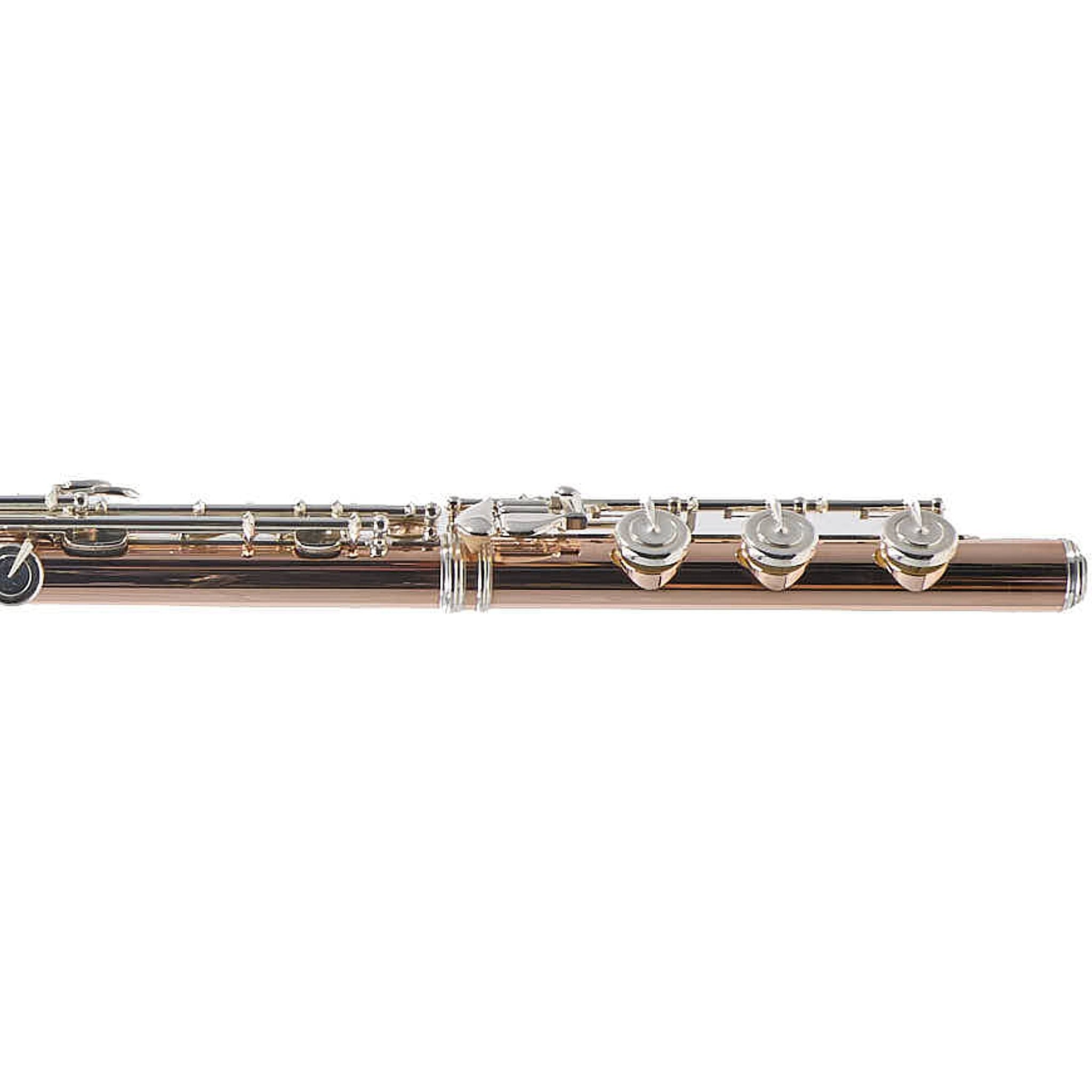 William S. Haynes Custom 14K Gold Flute with Gold Toneholes, Offset G, C# Trill