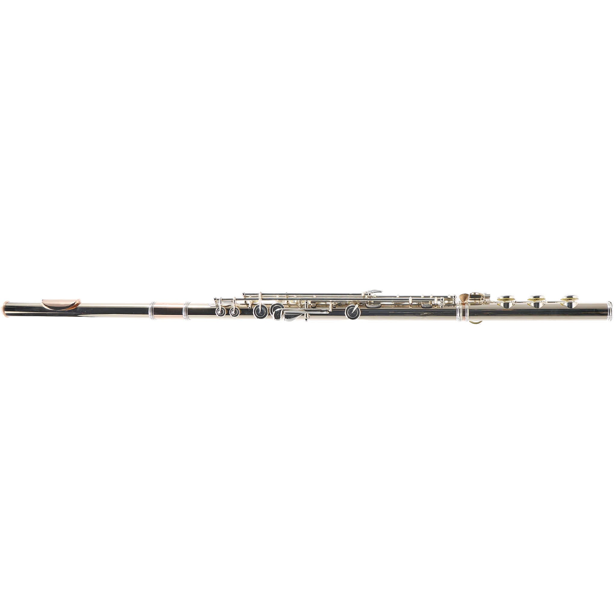 William S. Haynes Custom 14K White Gold Flute with Offset G, C# Trill, B Foot