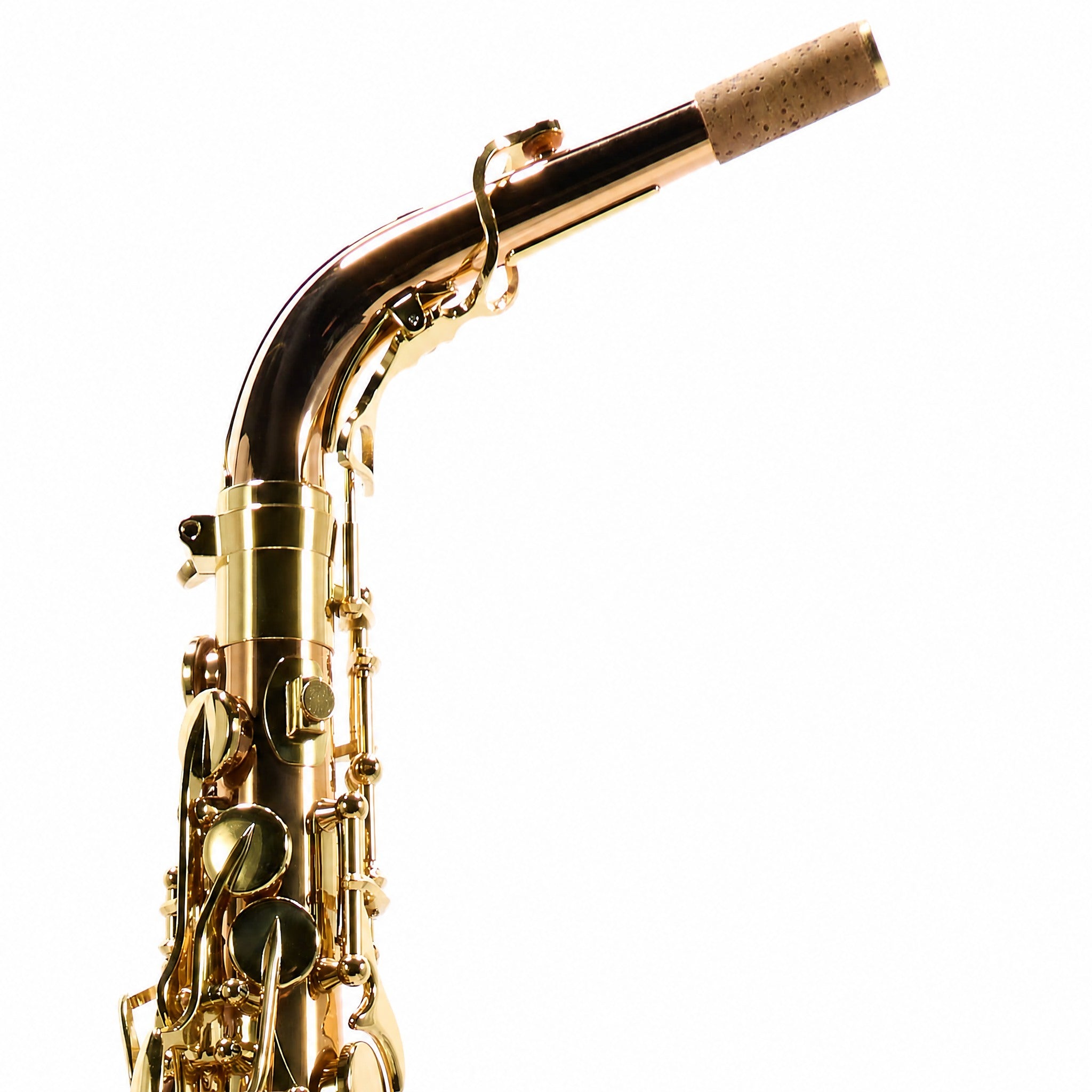 Yanagisawa AWO20 'Elite' Professional Alto Saxophone in Solid Bronze SN 00422413