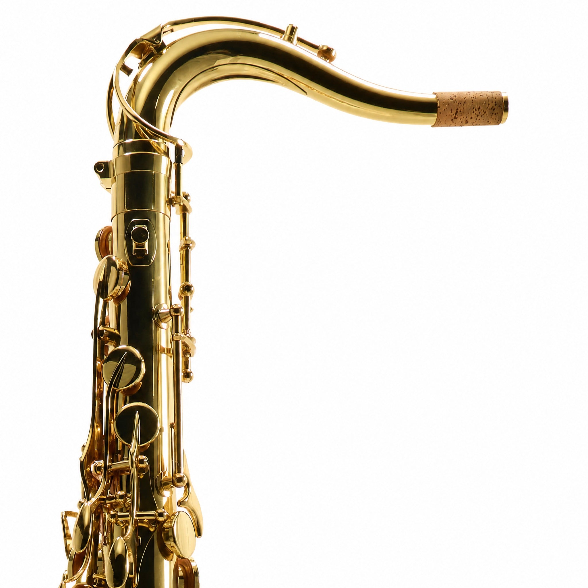 Yanagisawa TWO1 Professional Tenor Saxophone in Gold Lacquer