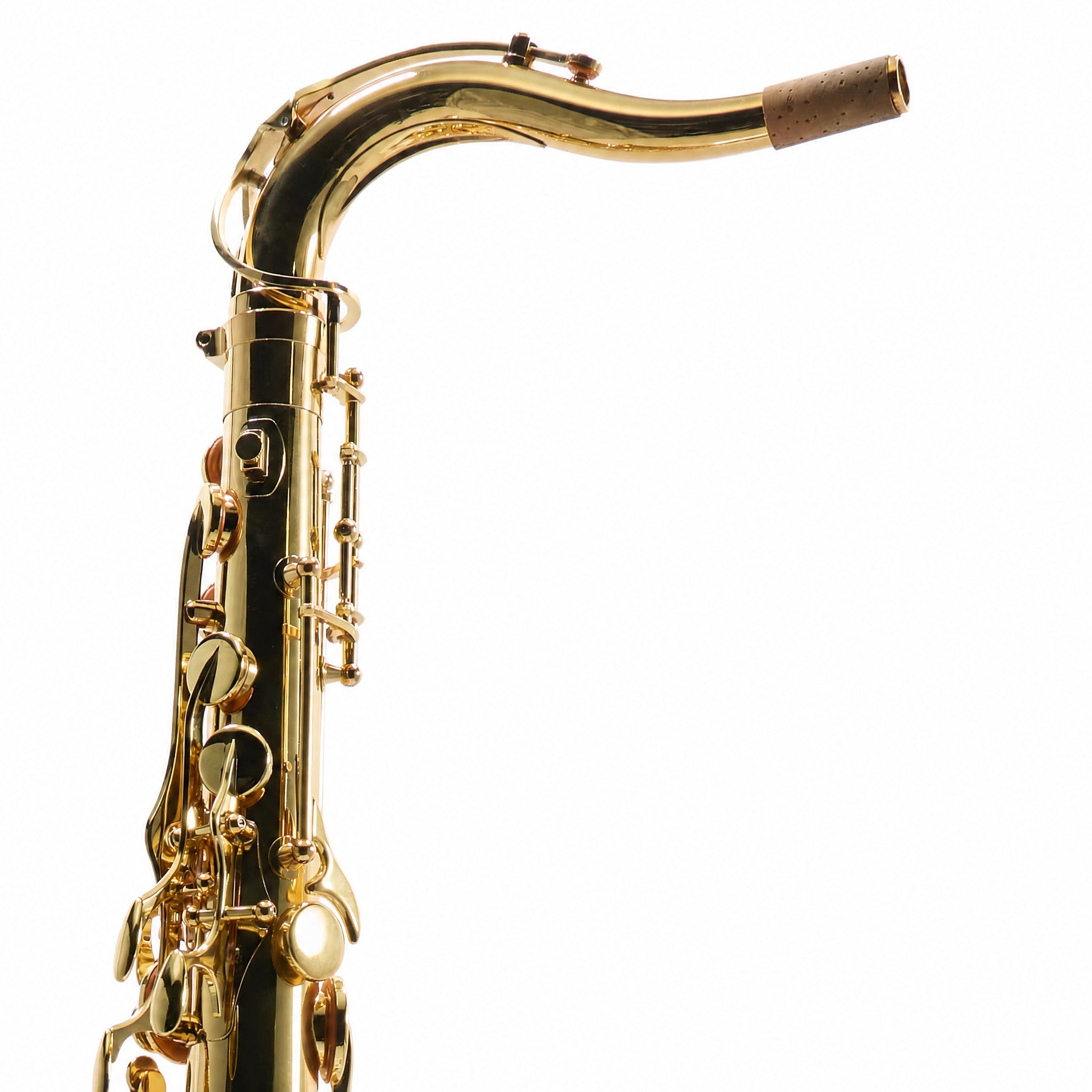 Yanagisawa TWO1 Professional Bb Tenor Saxophone in Gold Lacquer