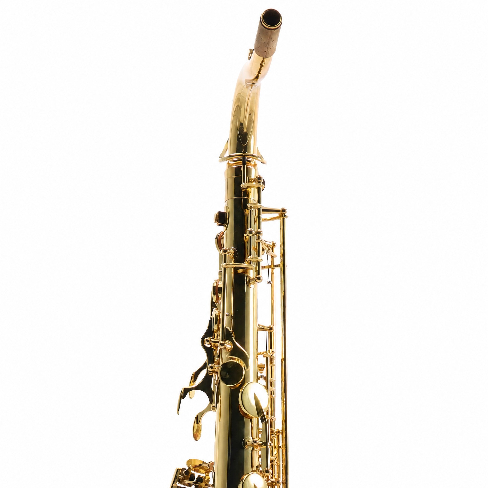 Yanagisawa TWO1 Professional Bb Tenor Saxophone in Gold Lacquer