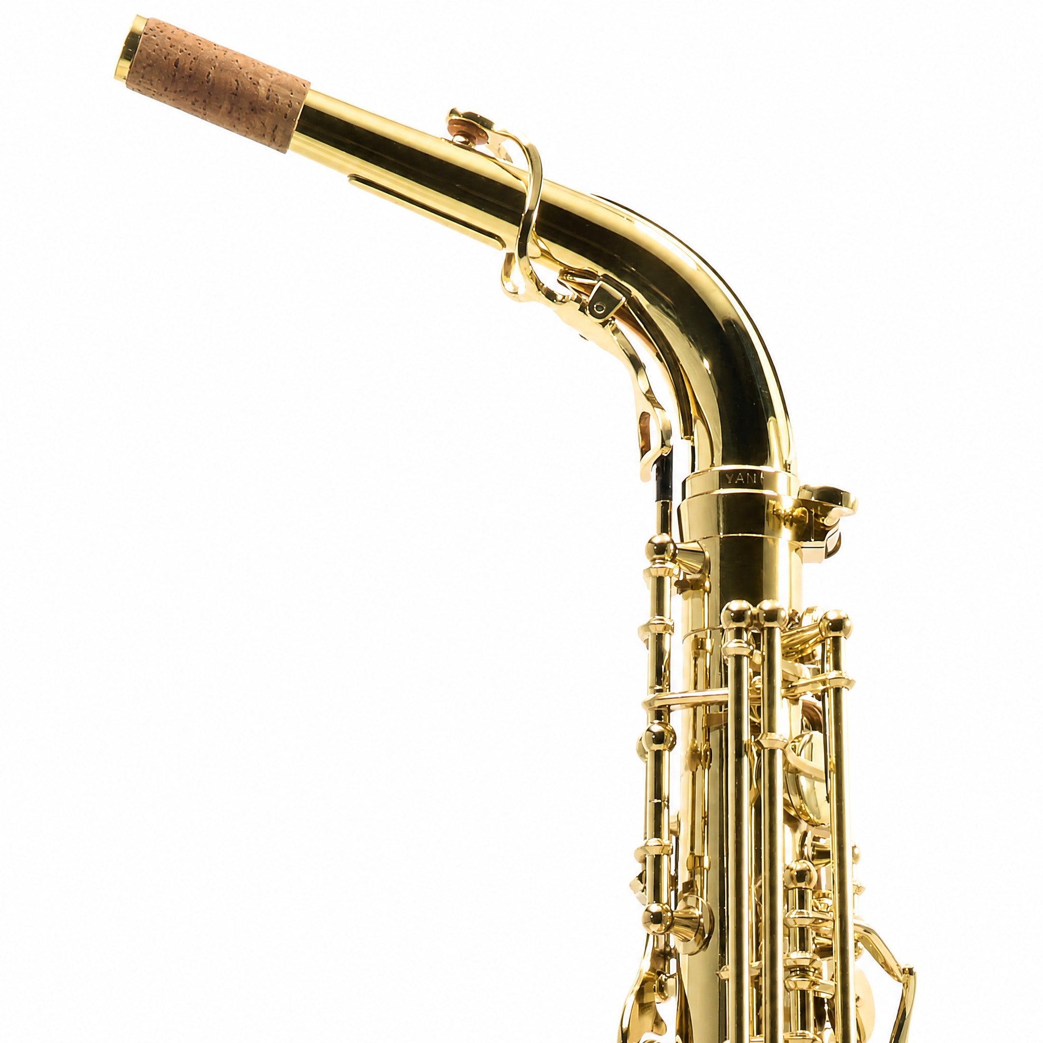 Yanagisawa AWO10 Professional Alto Saxophone in Gold Lacquer