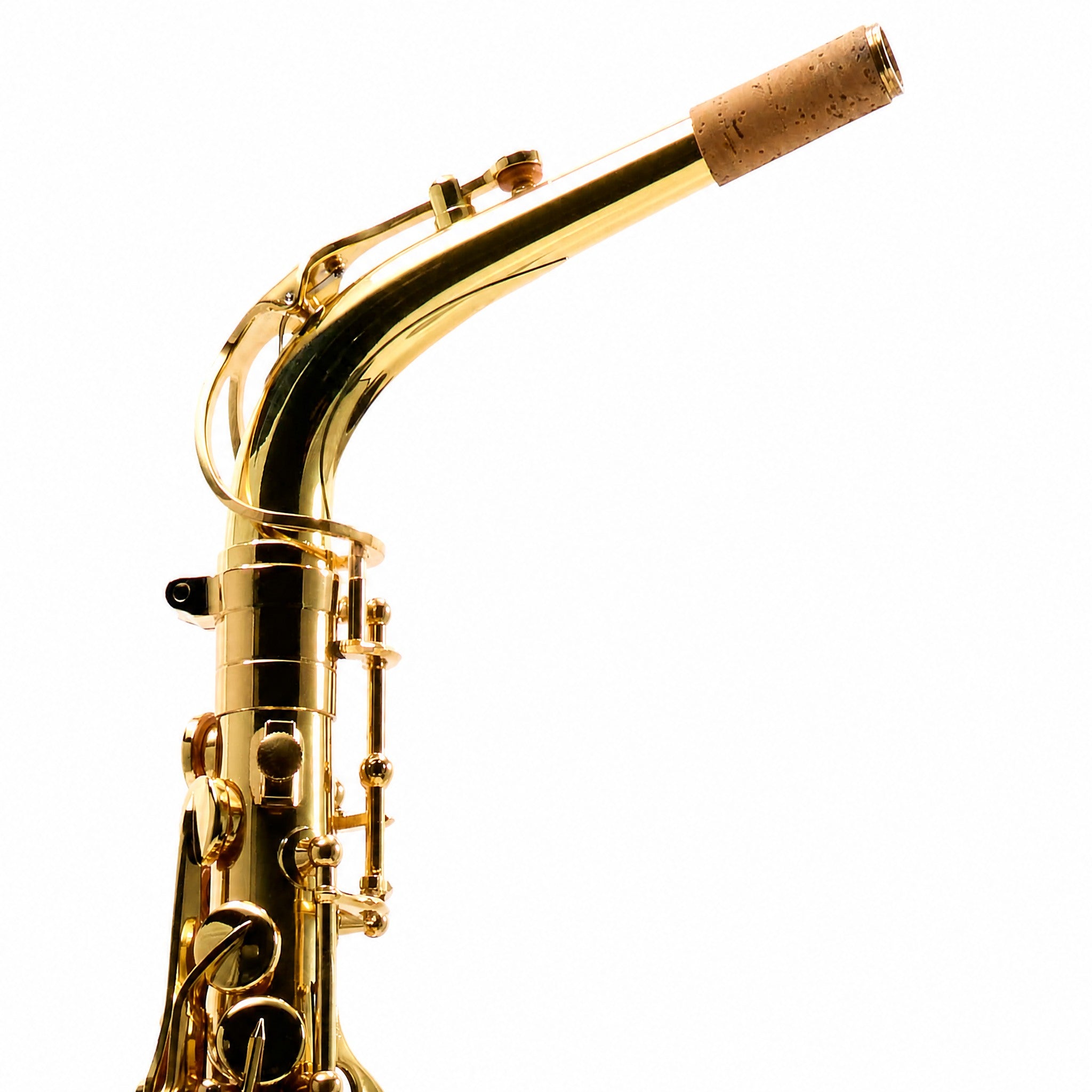 Eastman EAS451 Intermediate Alto Saxophone in Gold Lacquer