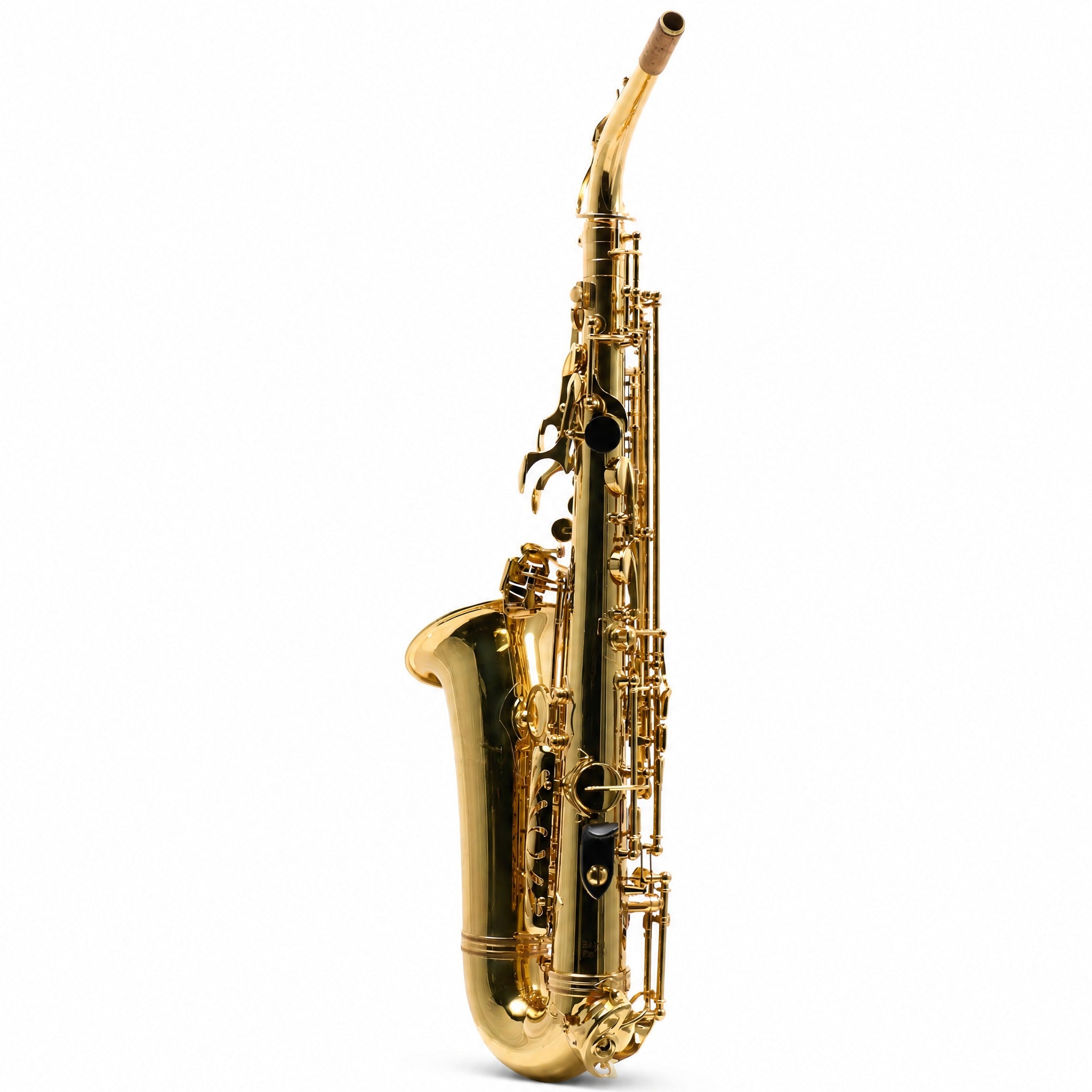 Eastman EAS451 Intermediate Eb Alto Saxophone in Gold Lacquer