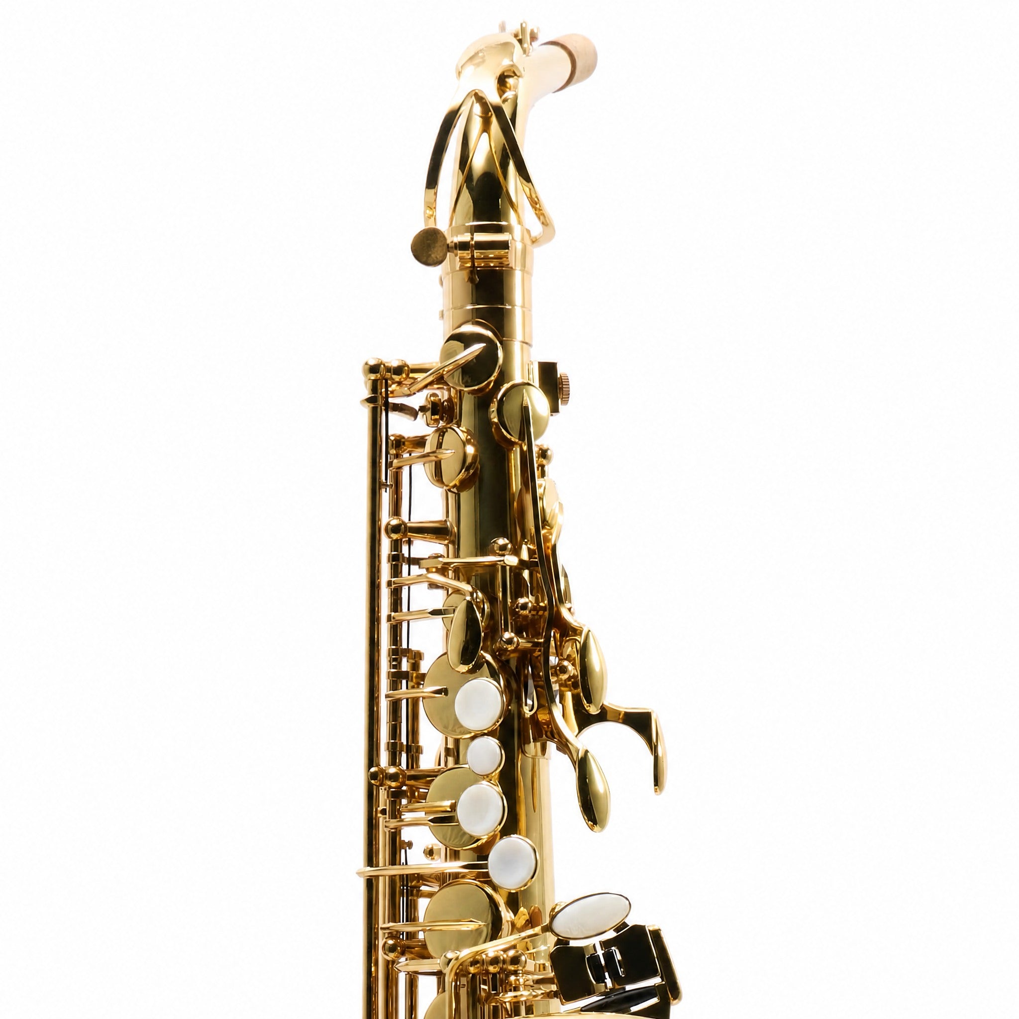 Eastman EAS451 Intermediate Eb Alto Saxophone in Gold Lacquer