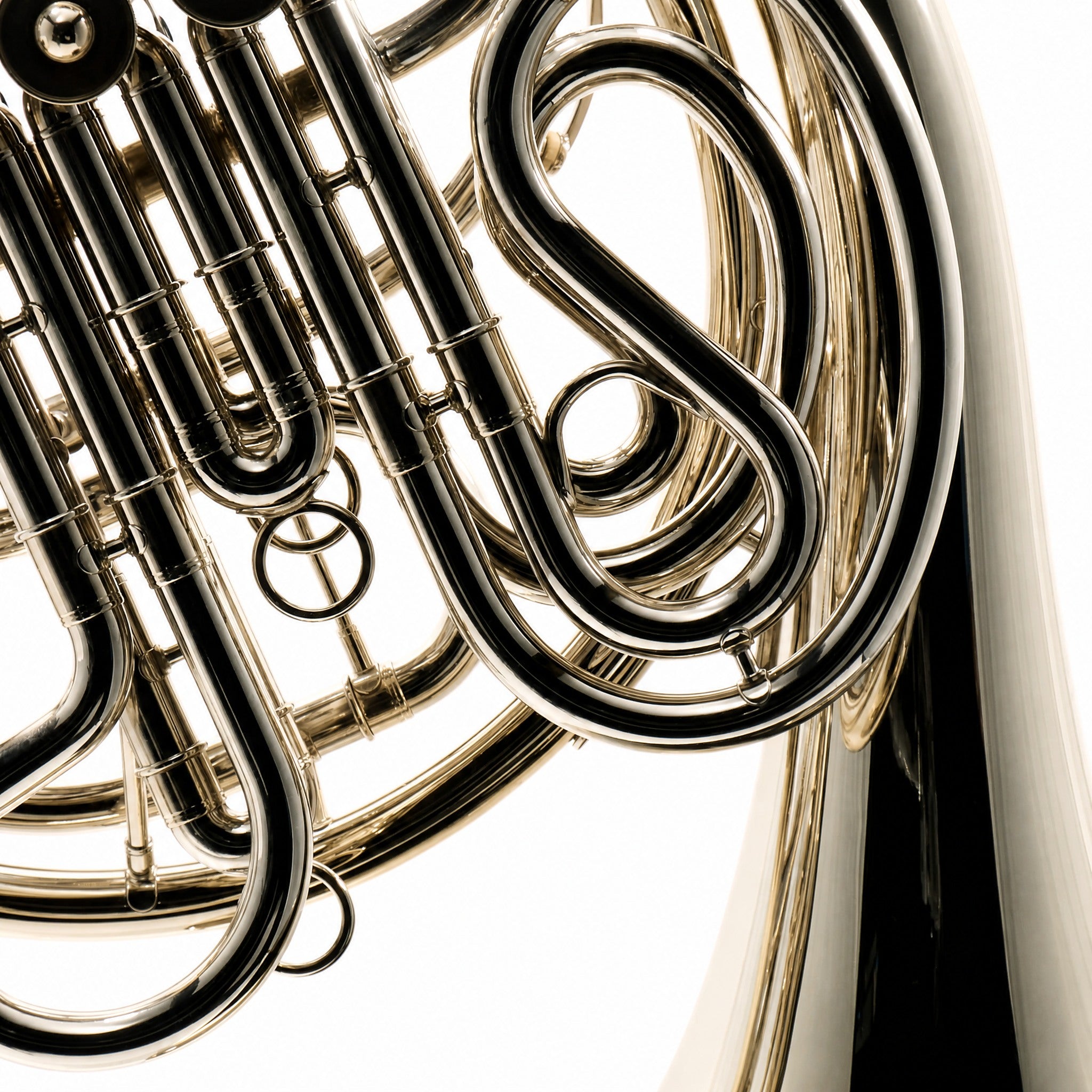 C.G. Conn 8D Professional F/Bb Double French Horn in Clear Lacquer
