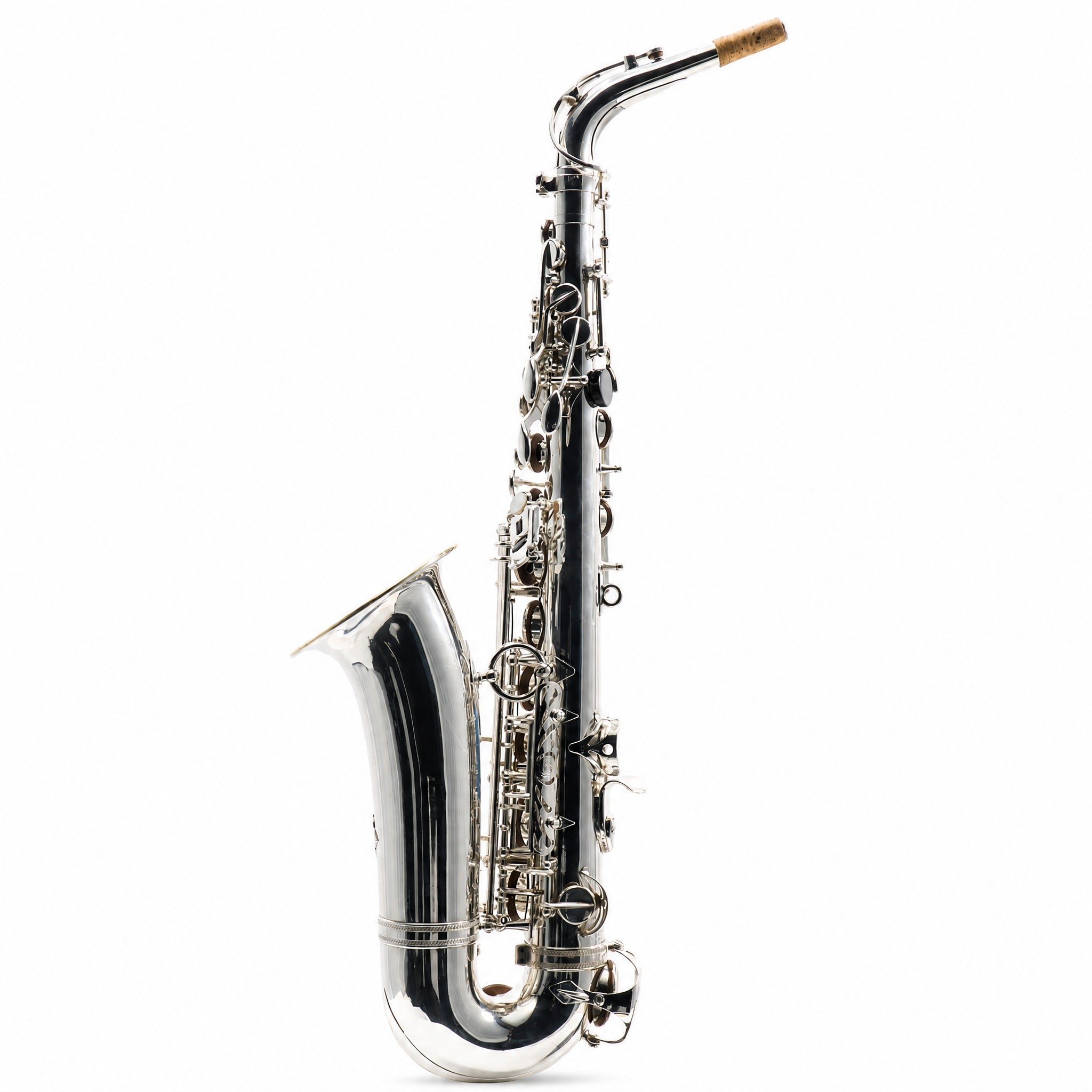 Selmer Paris Mark VI Professional Alto Saxophone in Silver Plate & Gold Wash Bell