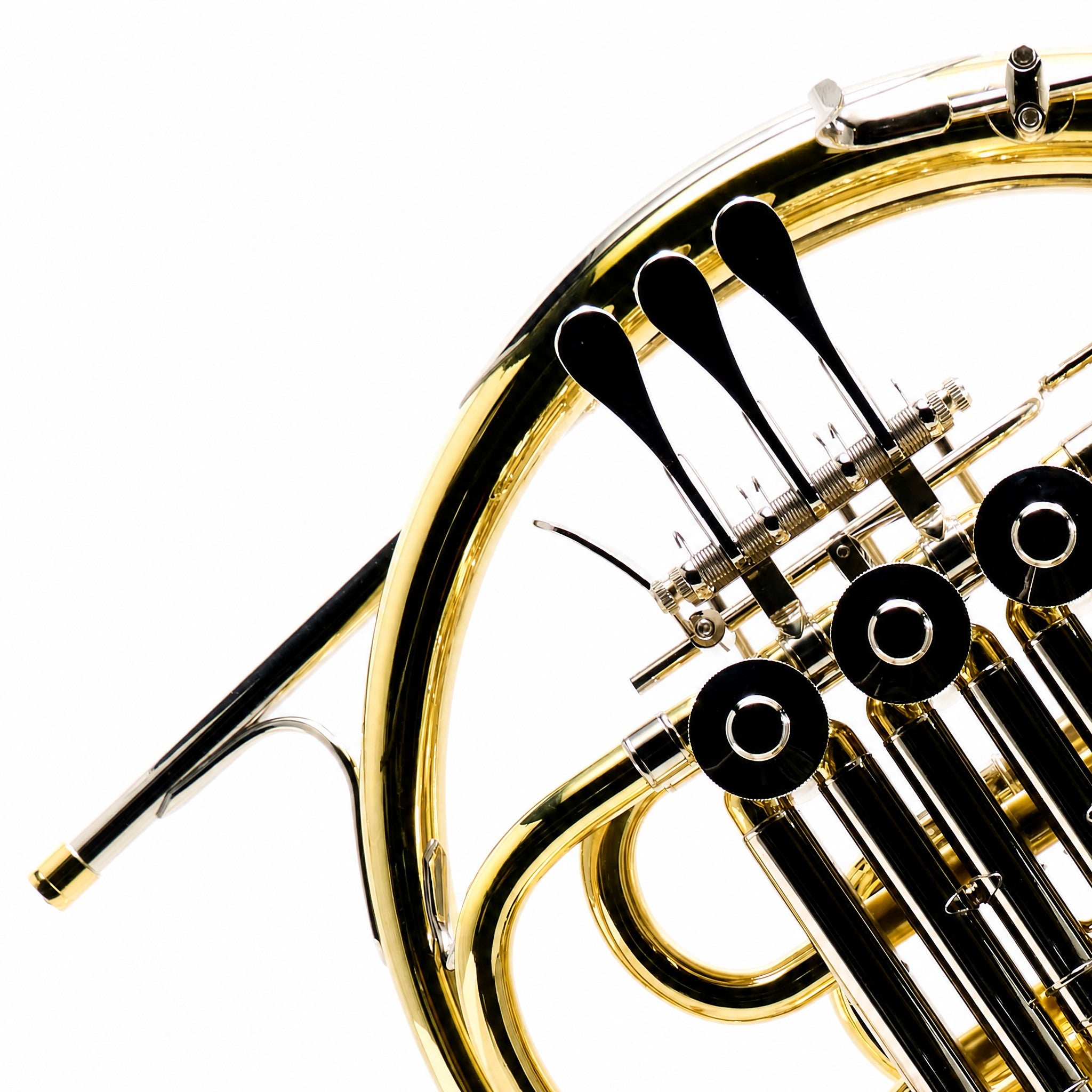 Eastman EFH463 Student F/Bb Double French Horn in Clear Lacquer