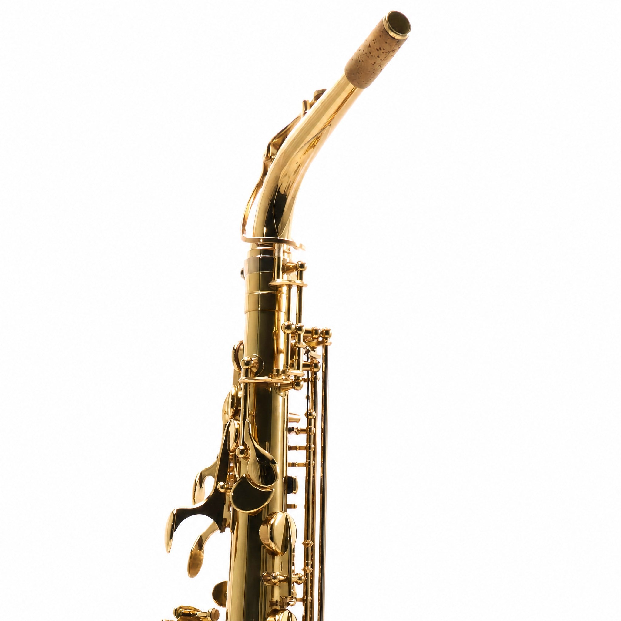 Eastman EAS850 'Rue Saint-Georges' Professional Alto Saxophone in Lacquer