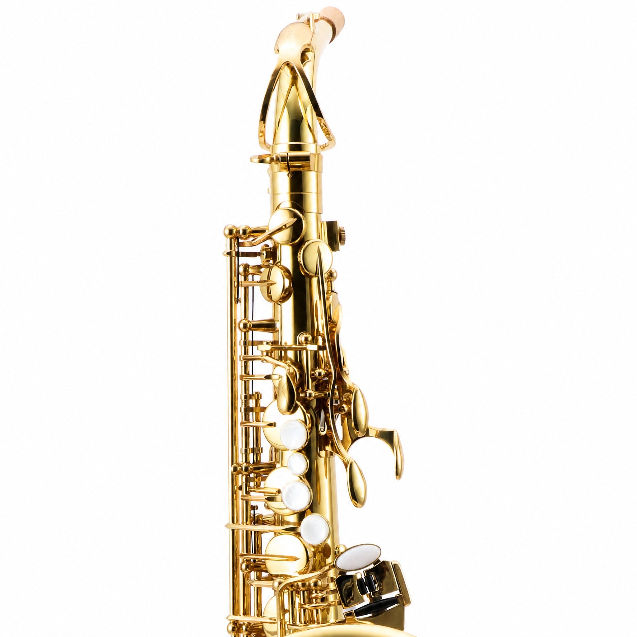 Eastman EAS451 Intermediate Eb Alto Saxophone in Gold Lacquer