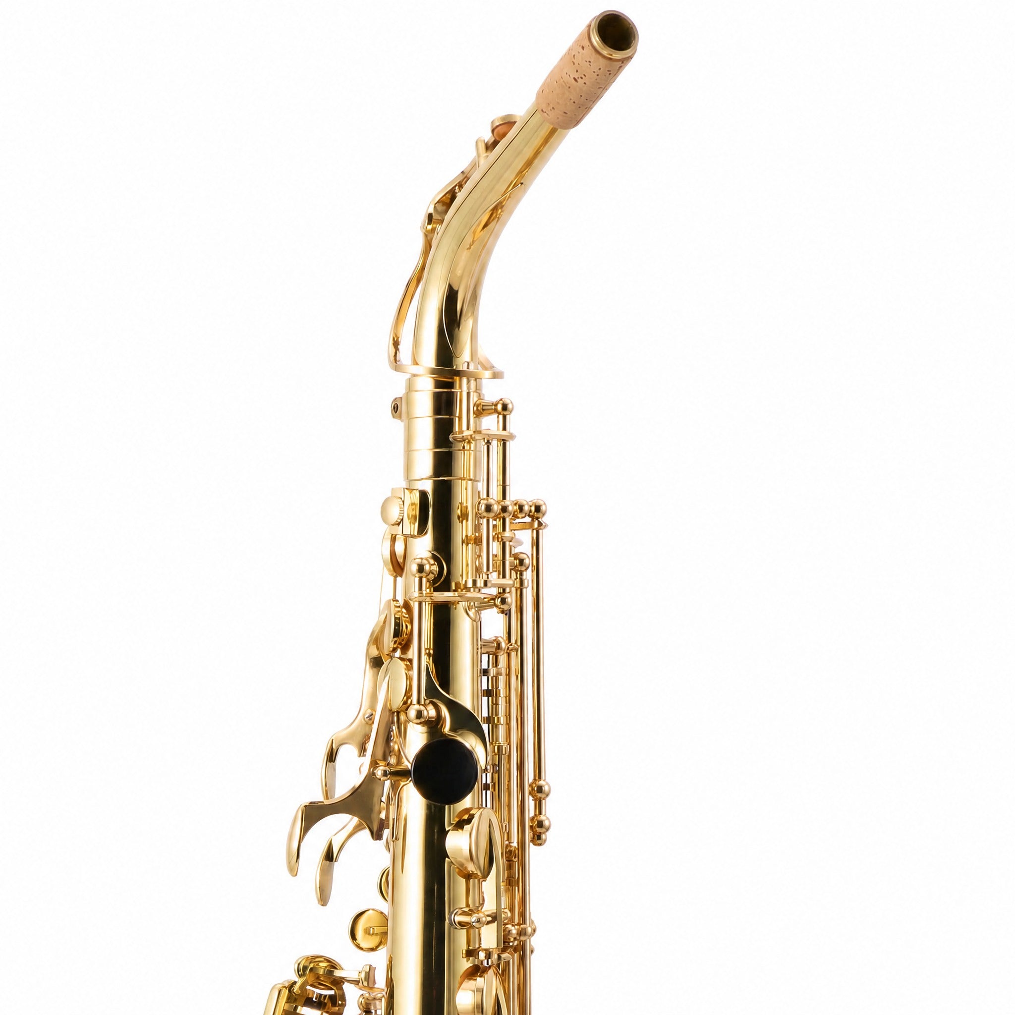 Eastman EAS451 Intermediate Eb Alto Saxophone in Gold Lacquer