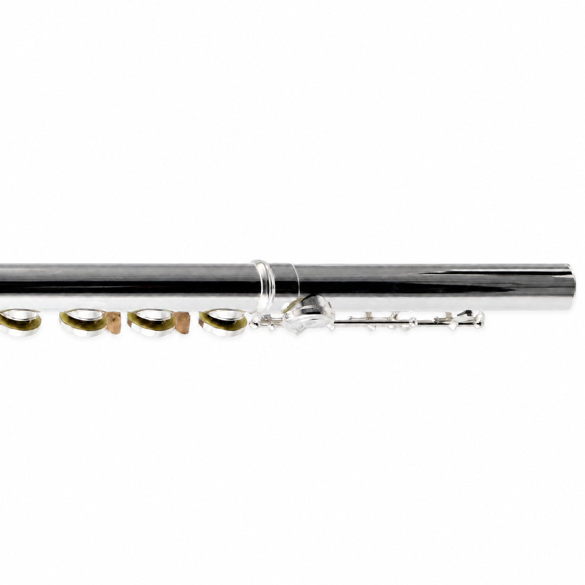 William S. Haynes AF480-CO 'Amadeus' Student Concert Flute in Silver Plate