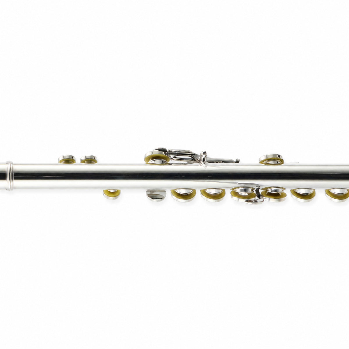 William S. Haynes AF482-CO 'Amadeus' Student Concert Flute in Silver Plate
