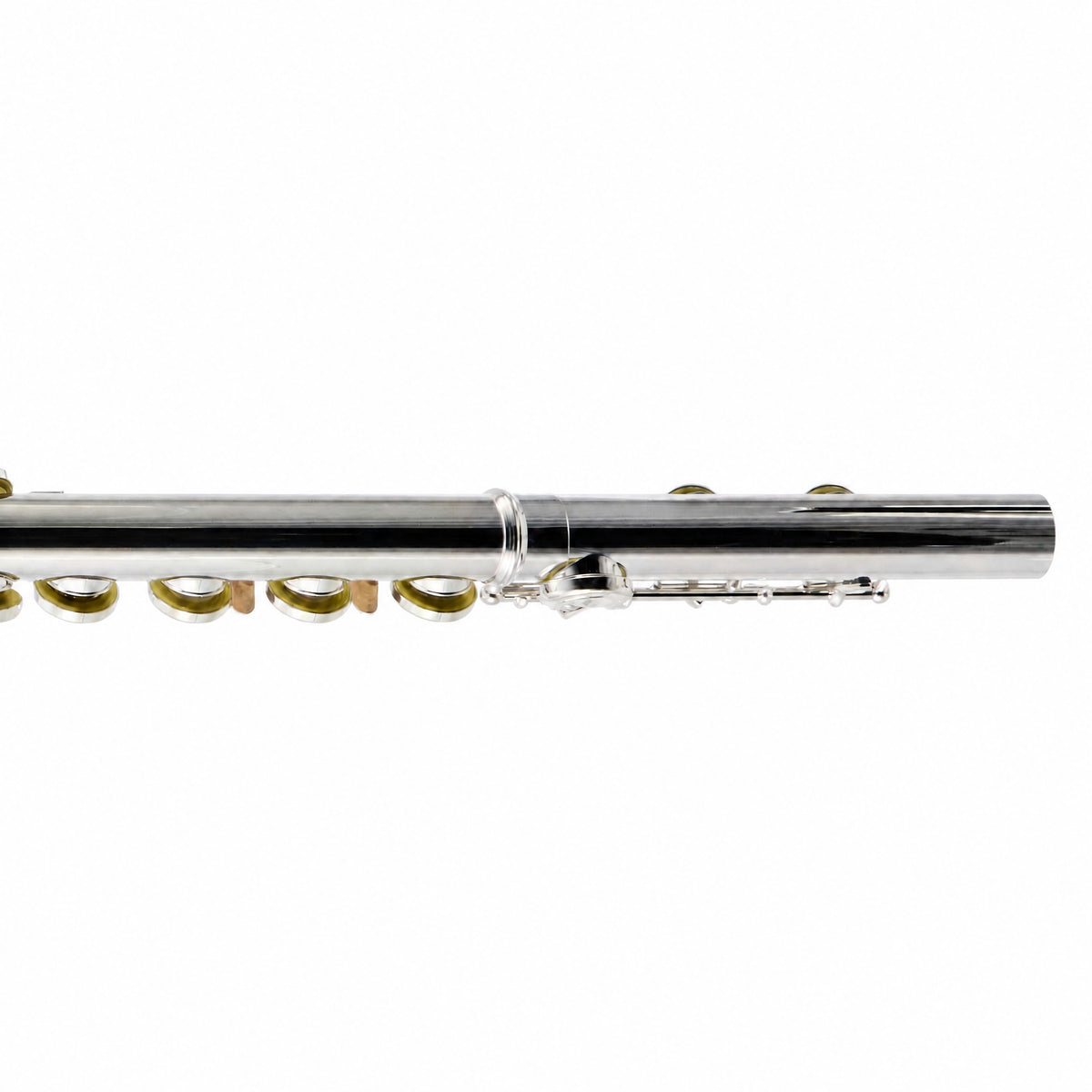 William S. Haynes AF482-CO 'Amadeus' Student Concert Flute in Silver Plate