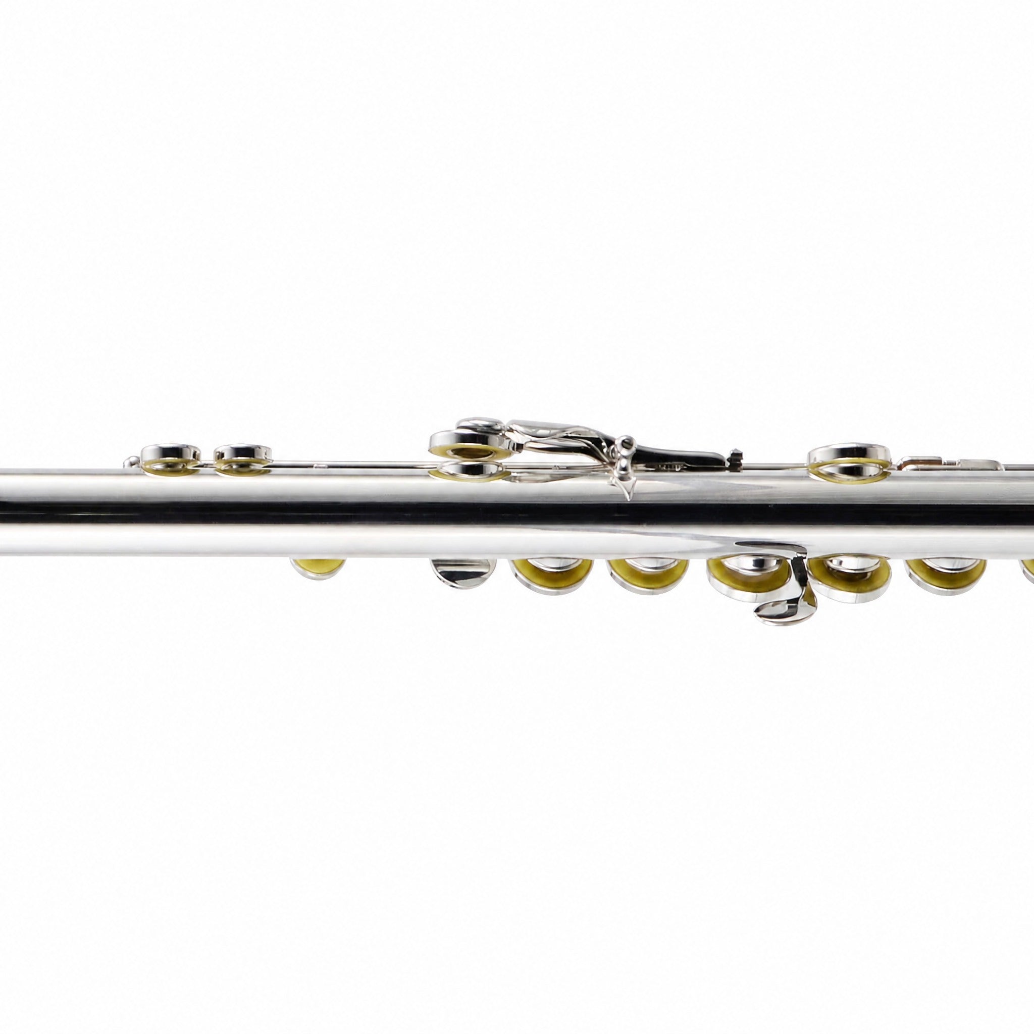 William S. Haynes AF482-CO 'Amadeus' Student C Flute in Silver Plate