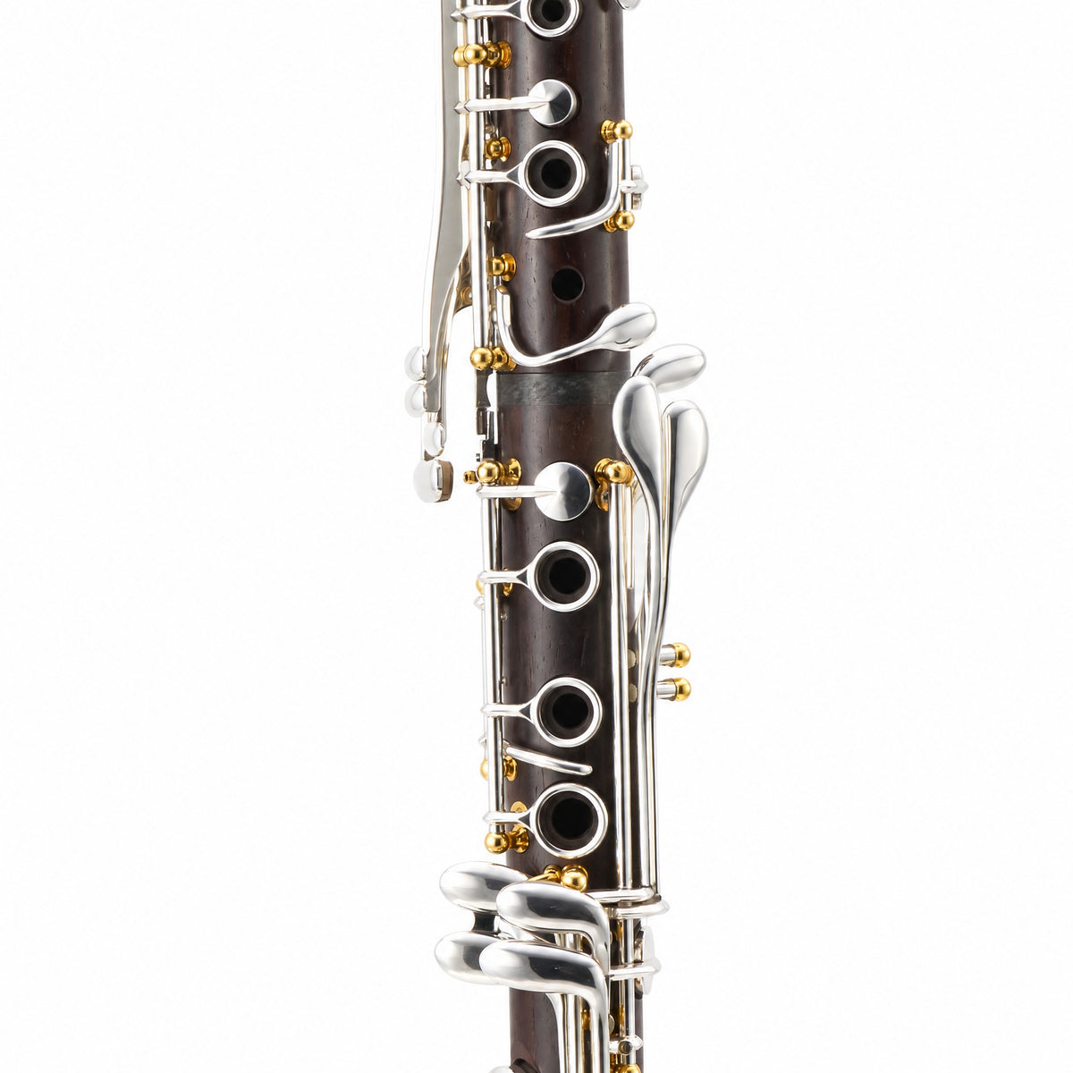 Backun BCLAQC-SKG Q-Series Professional A Clarinet in Cocobolo