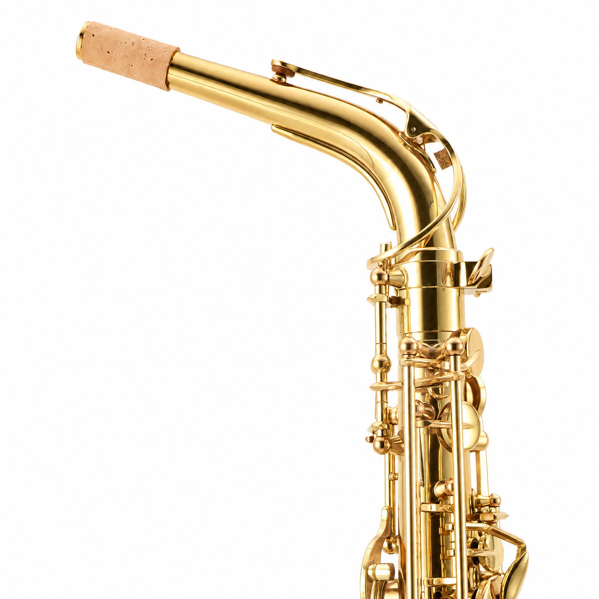 Selmer SAS511 Intermediate Eb Alto Saxophone in Clear Lacquer