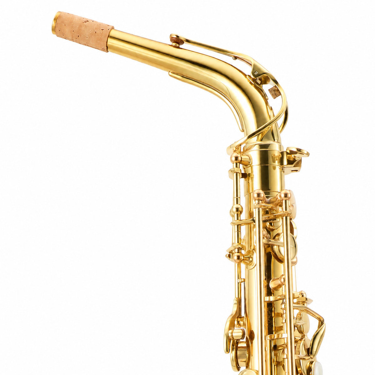 Selmer SAS511 Intermediate Eb Alto Saxophone in Clear Lacquer