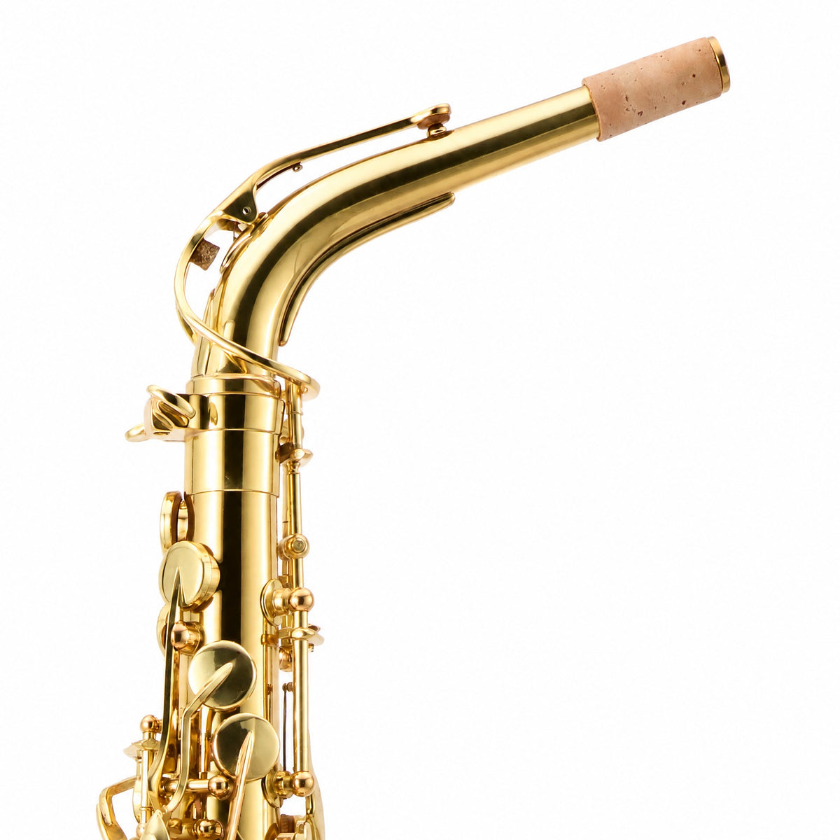 Selmer SAS511 Intermediate Eb Alto Saxophone in Clear Lacquer
