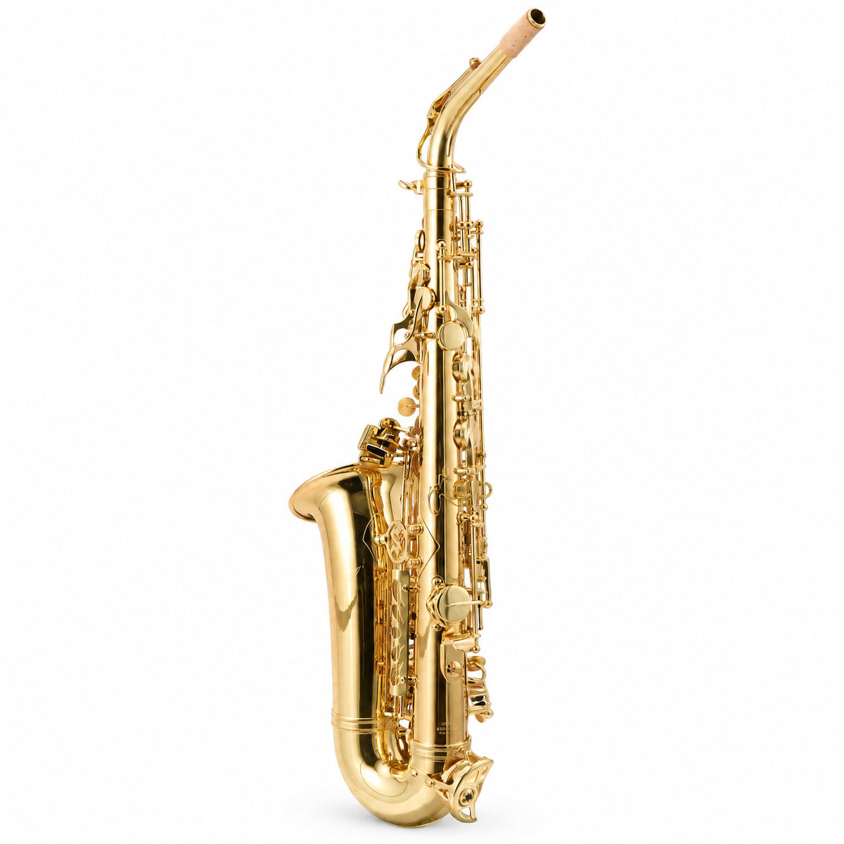 Selmer SAS511 Intermediate Eb Alto Saxophone in Clear Lacquer