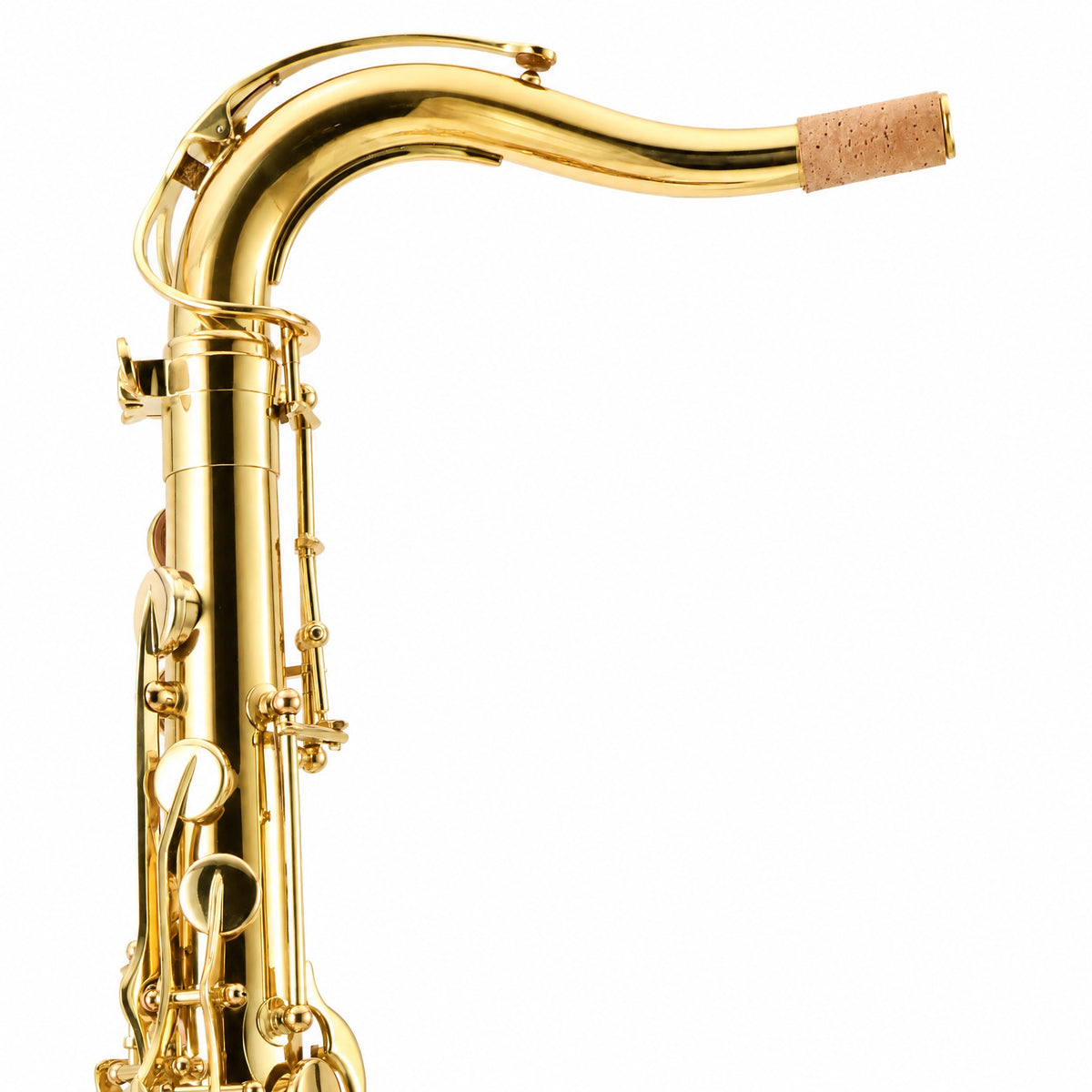 Selmer STS511 Intermediate Bb Tenor Saxophone in Lacquer