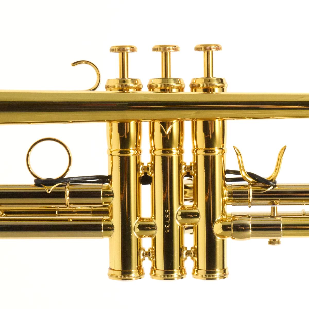 Adams Model A10 Custom Series Bb Trumpet in Lacquer