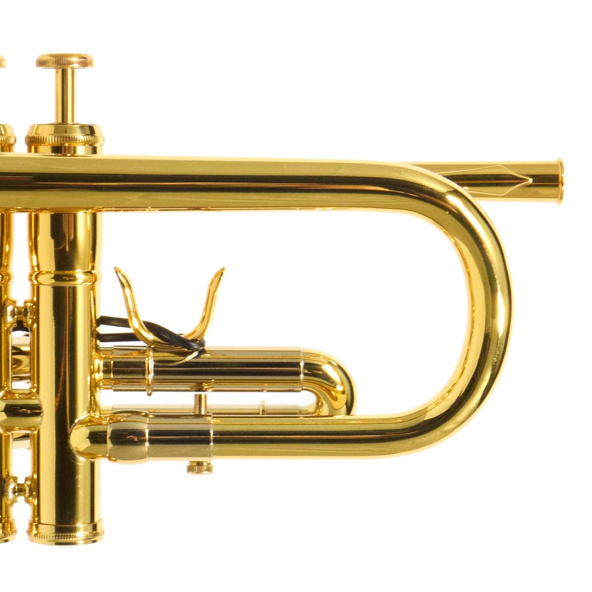 Adams Model A10 Custom Series Bb Trumpet in Lacquer