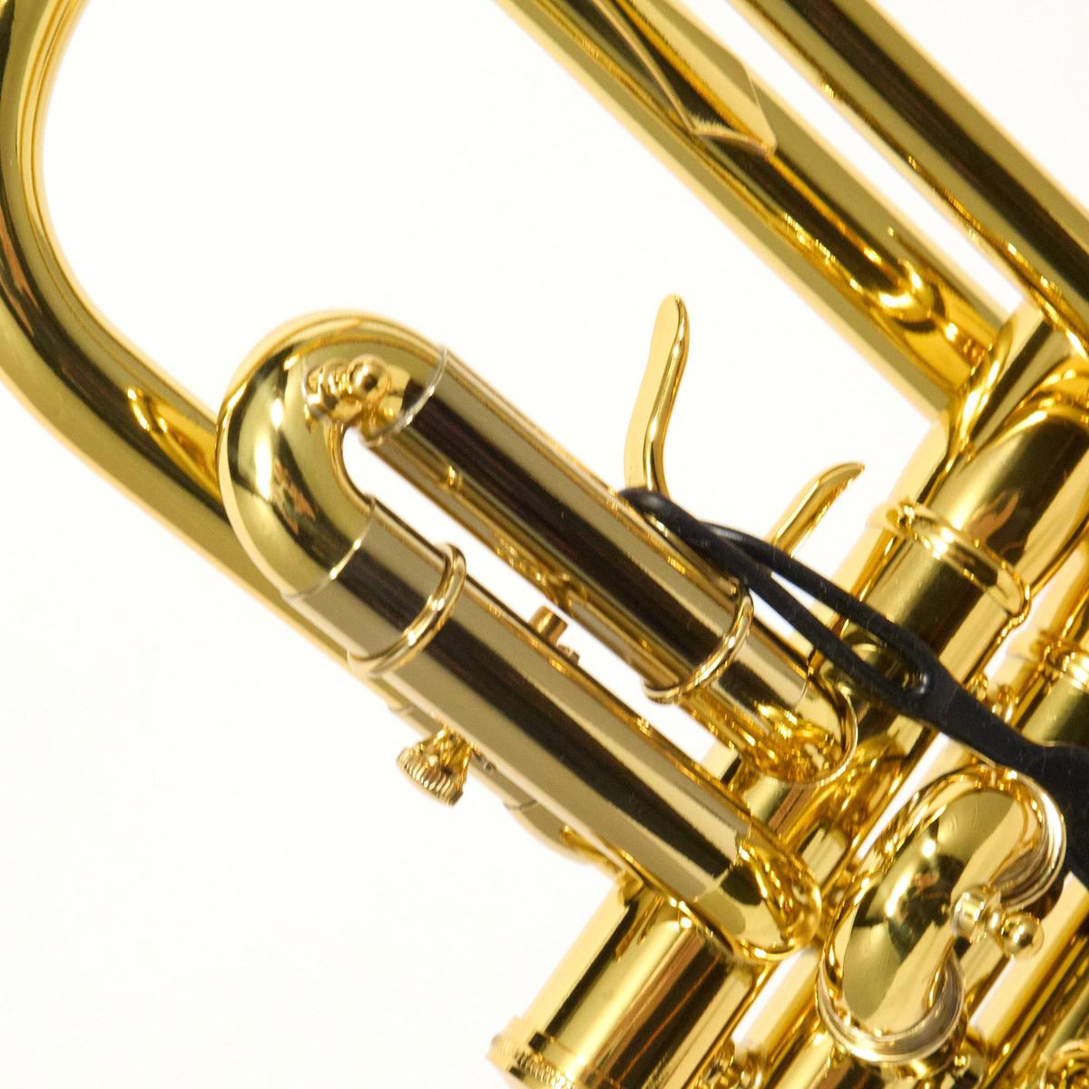 Adams Model A10 Custom Series Bb Trumpet in Lacquer