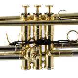 Adams Model A3 Custom Series Professional Bb Trumpet in Lacquer BRAND NEW